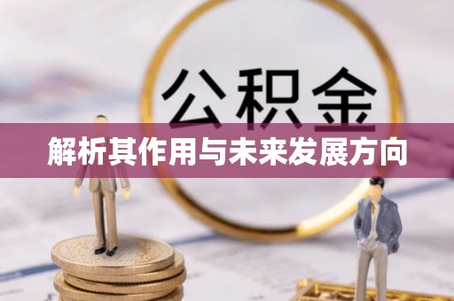 双湖解析其作用与未来发展方向