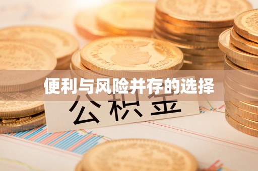 施甸便利与风险并存的选择