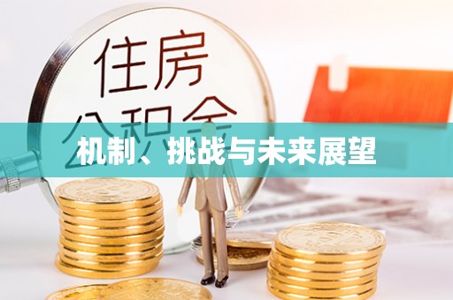 相城机制、挑战与未来展望