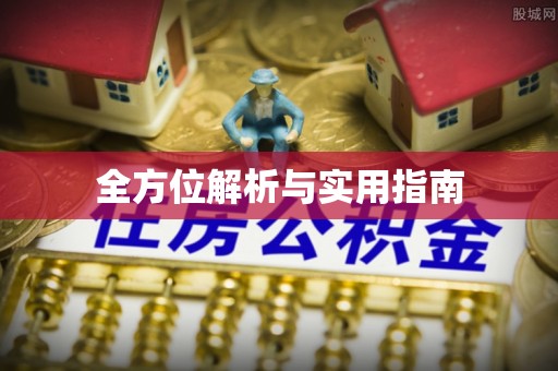 中沙全方位解析与实用指南