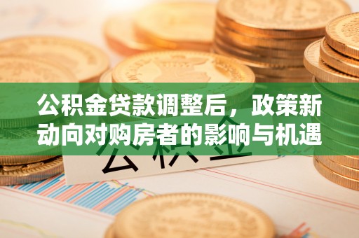 楠西公积金贷款调整后，政策新动向对购房者的影响与机遇
