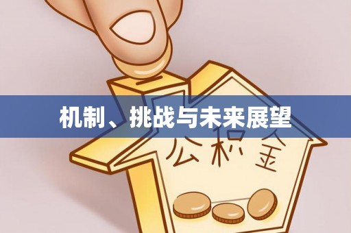 番禺机制、挑战与未来展望