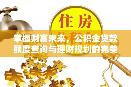 大连掌握财富未来，公积金贷款额度查询与理财规划的完美结合