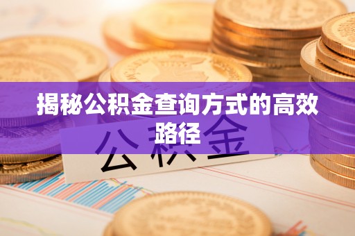饶河揭秘公积金查询方式的高效路径